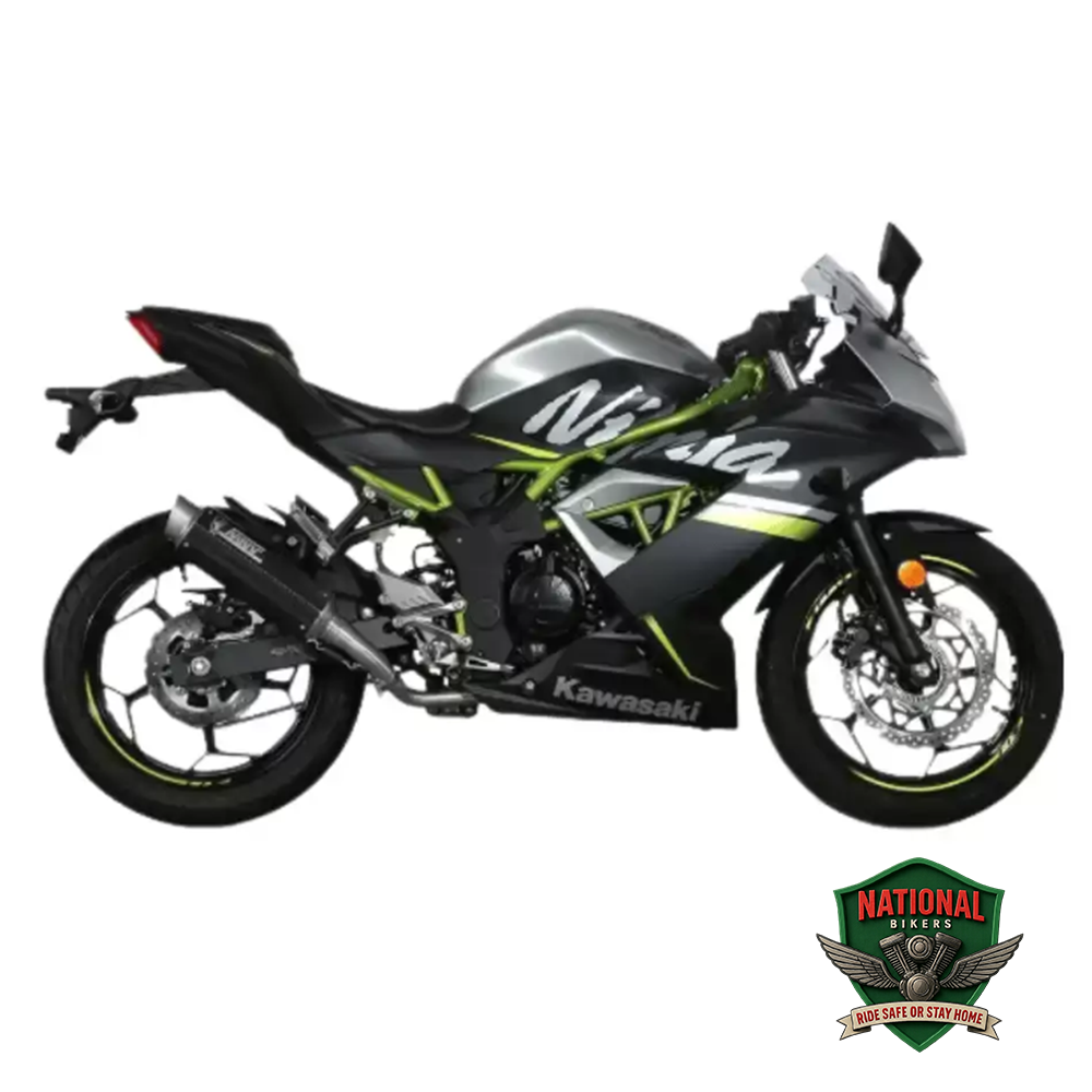 Kawasaki Ninja 125 2022